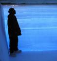 A West Antarctica Ice Sheet Divide project researcher stands in a snow pit next to an ice core with data from 68,000 years ago. The prominent line across the middle of the ice separates one year's ice and snow accumulation from the next year's.