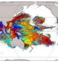 The pathways traveled by >14 million modeled coral larval over a one-year period using the Connectivity Modeling System developed by Dr. Claire Paris at the University of Miami.  Note the empty no-man's-land that larvae have difficulty breaching -- this is the East Pacific Dispersal Barrier.