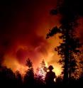 A fire burns in Sequoia & Kings National Park, Calif., in 2005. Research by environmental scientists at Harvard University predicts wildfire seasons by 2050 will be three weeks longer, up to twice as smoky, and will burn a wider area in the western United States.