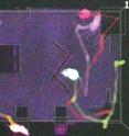 The movements of mice dyed in different fluorescent colors are tracked in the darkened enclosure.