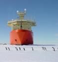 Adelie penguins walk in file on sea ice in front of US research icebreaker Nathaniel B. Palmer in McMurdo Sound.