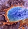 While most people are familiar with microbes that occur above ground -- such as this orange-colored colony surrounding Grand Prismatic Spring at Yellowstone National Park -- microbes also occur around hydrothermal vents on the ocean floor, at depths where light cannot penetrate and where they trap carbon using chemical energy instead of sunlight.