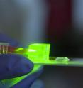 Yi Zhao, associate professor of biomedical engineering and ophthalmology at Ohio State University, holds a prototype polymer lens (center) that combines features of the human eye and insect eye.