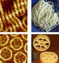 Images of molecules for light-emitting diodes on the left are compared with similar shaped pasta on the right. The upper left electron microscope image shows spaghetti-shaped organic polymers now used for organic light-emitting diodes, or OLEDs. The lower left image shows new molecules -- created by scientists at the University of Utah and two German universities -- that are shaped like wagon-wheel or rotelle pasta and emit light more efficiently than the spaghetti-shape polymers.