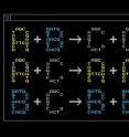 An example of a chemical program. Here, A, B and C are different chemical species.