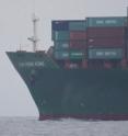A dolphin is dwarfed by a massive container ship. Impacts of shipping on marine mammals include ship strikes, a particular concern for large whales.