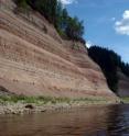 This shows permian beds exposed along the Sukhona River near the site where some of the new fossils have been found.