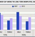 This graph shows the diminishing gender gap among the  long-term unemployed for 2007 and 2013.