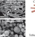 Chromatophores were previously thought to be simply sacs of pigment that acted as filters; scientists have now discovered that nanostructures (labeled here as "granules") within the cells are capable of fluorescing.