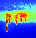 This is a photograph of five plasma irregularities responsible for sprite initiation.