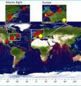 This is a world map showing the location of jellyfish data held in the Jellyfish Database Initiative, JeDI.