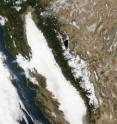 NASA's Terra Satellite captures wintertime tule fog as it blankets California's Central Valley.