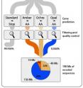 Workflow (depicted in the amount of DNA sequence data generated in trillion of nucleotide bases [Tb] and billion bases [Gb]) to identify the set of overlapping DNA segments that contain stop codon (Amber, Ochre, Opal) reassignments.