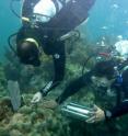 Dustin Kemp (left) of the University of Georgia and Xavier Hernandez-Pech of the Universidad Nacional Aut&#243;noma de M&#233;xico sample a healthy coral reef in the Caribbean.