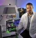 Gregorio Valdez, an assistant professor at the Virginia Tech Carilion Research Institute, and his team have designed a search engine  that identifies genes that are functionally linked.