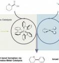 Princeton University researchers merged two powerful areas of research to enable an unprecedented chemical reaction that neither could broadly achieve on its own. The resulting bond formation could provide an excellent shortcut for chemists as they construct and test thousands of molecules to find new drugs. In the transformation, a carboxylic acid (left) reacts with an aryl halide (right) in the presence of tiny amounts of an iridium photocatalyst and a nickel catalyst to form a direct and unique bond between two highly prevalent classes of molecules.