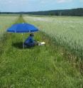 This image shows earthworm sampling on a grass verge between fields in Southern Bavaria.