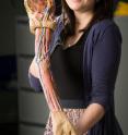 The creators of a unique kit containing anatomical body parts produced by 3D printing say it will revolutionise medical education and training, especially in countries where cadaver use is problematical.