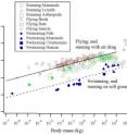 This chart shows how the ratio of mass to speed of animals follows the same general rules as airplanes. Note that the Concorde is way off of the historical trend.