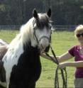 Author Jennifer Wathan is shown with study participant Bartie.