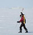 UW graduate student Melinda Webster uses a probe to measure snow depth and verify NASA airborne data. She is walking on sea ice near Barrow, Alaska, in March 2012. Her backpack holds electronics that power the probe and record the data.