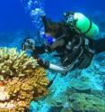San Diego State University graduate student Yan Wei Lim is exploring coral reefs in the southern Line Islands.