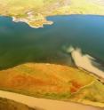 Terrestrial organic matter is shown spilling into a lake.