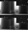 This sequence shows how the Greer Lab's three-dimensional, ceramic nanolattices can recover after being compressed by more than 50 percent. Clockwise, from left to right, an alumina nanolattice before compression, during compression, fully compressed, and recovered following compression.