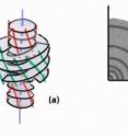 (a) From the planar configuration of the layering to a helicoidal one, the strong lines are triple helices in double-twist, and (b) quadrant of a phyllotactic pattern showing the increase of the spacing between grain boundaries when moving away from the center.