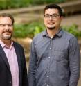 University of Illinois entomology professor Andrew Suarez (left) and postdoctoral researcher Bill Wills discovered that big-headed worker ants grow larger in the presence of other competitive ants.