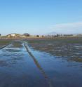 The Living Coast Discovery Center and Sweetwater Marsh, as seen from the marsh's tidal zone.