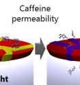 Visible light is not able to activate the functional group (left), whereas UV light can do so (right). As a result it is possible to create a plaster which, upon UV-activation, can deliver a dose of medication.