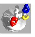 The new study provides a 3-D picture of how the antibodies in the experimental drug Zmapp bind to Ebola virus.