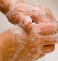 Triclosan is an antimicrobial additive found in many liquid hand soaps and other household products.
