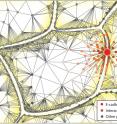 This figure shows a schematic representation of E-cadherin and interactome proteins at an adherens junction.