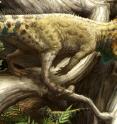 This is a an artist's reconstruction of <i>Aquilops</i> in its environment in ancient Montana