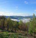 The Cumberland Mountains of Tennessee are depicted.