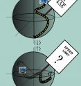 The speed limit, that is, the minimal time to transition between two easily distinguishable states, such as the north and south poles representing up and down states of a quantum spin (top), is characterized by a well-known relationship. But the speed limit between two states not entirely distinguishable, which correspond to states of arbitrary latitude and longitude whether on or within the sphere of all possible states of a quantum spin (bottom), was unknown until two UC Berkeley chemical physicists calculated it.