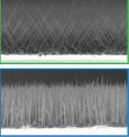 These are nanowires grown using catalyst rich in gold (top) and nickel (bottom).