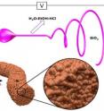 This image shows: (a) Schematic representation of the electrospinning process and subsequent reduction process. Digital photographs of (b) as-spun SiO2 nanofibers paper, (c) etched silicon nanofiber paper, and (d) carbon-coated silicon nanofiber paper as used in the lithium-ion half-cell configuration.