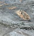 This is a perspective view of the December 1974 lava flow in Hawaii. This image is not a photograph, but rather it was constructed by draping kite-based aerial photography over a digital terrain model.