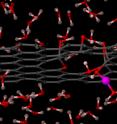 Computer simulations show a single proton (pink) can cross graphene by passing through the world's thinnest proton channel.