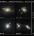 These Hubble Space Telescope images reveal a set of bizarre, greenish looping, spiral, and braided shapes around eight active galaxies. The galaxies host a bright quasar that may have illuminated the structures.