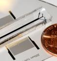 This is a photograph of an acoustic tweezer device about twice the size of a penny.  Two sound transducers move the cells out of the stream for separation.