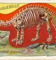 This is <I>Brontosaurus</I> as researchers imagined it in the late 1800s: aquatic, and with a large, robust skull.