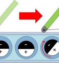 The black side of the microparticles contains magnetic nanoparticles that make it possible to write on the screen. A magnet pulled across the surface of the white display attracts the black side and the balls flip to face the magnet.