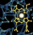 Engineered cytochrome P450 enzymes can perform chemical reactions valuable to the pharmaceutical community.