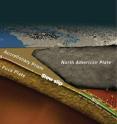 Slow earthquakes happen between the hazardous locked zone and the viscous portion that slips silently. They are found on subduction zones, like Cascadia's, where a heavy ocean plate, in this case the Juan de Fuca Plate, sinks below a lighter continental plate.