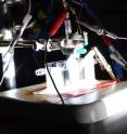 Bathed in simulated sunlight, this photoelectrolysis cell in the lab of Song Jin, a professor of chemistry at the University of Wisconsin-Madison, splits water into hydrogen and oxygen using a catalyst made of the abundant elements cobalt, phosphorus and sulfur.