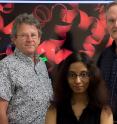 From left, Rice University biochemists George Phillips, Premila Samuel and John Olson use a 3-D visualization facility to study the structure and function of myoglobin (red) in the hopes of making recombinant hemoglobin as artificial blood for use in transfusions. Myoglobin and hemoglobin use a molecule called heme (green) to transport oxygen.